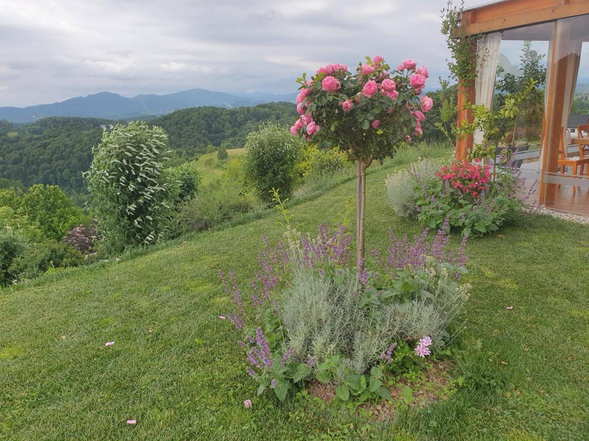 B&B Villa Angelina Rogaška Slatina Exteriér fotografie