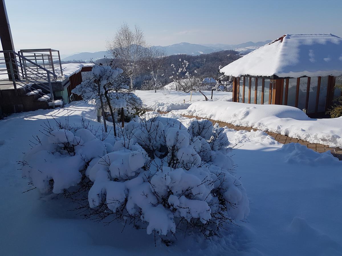 B&B Villa Angelina Rogaška Slatina Exteriér fotografie